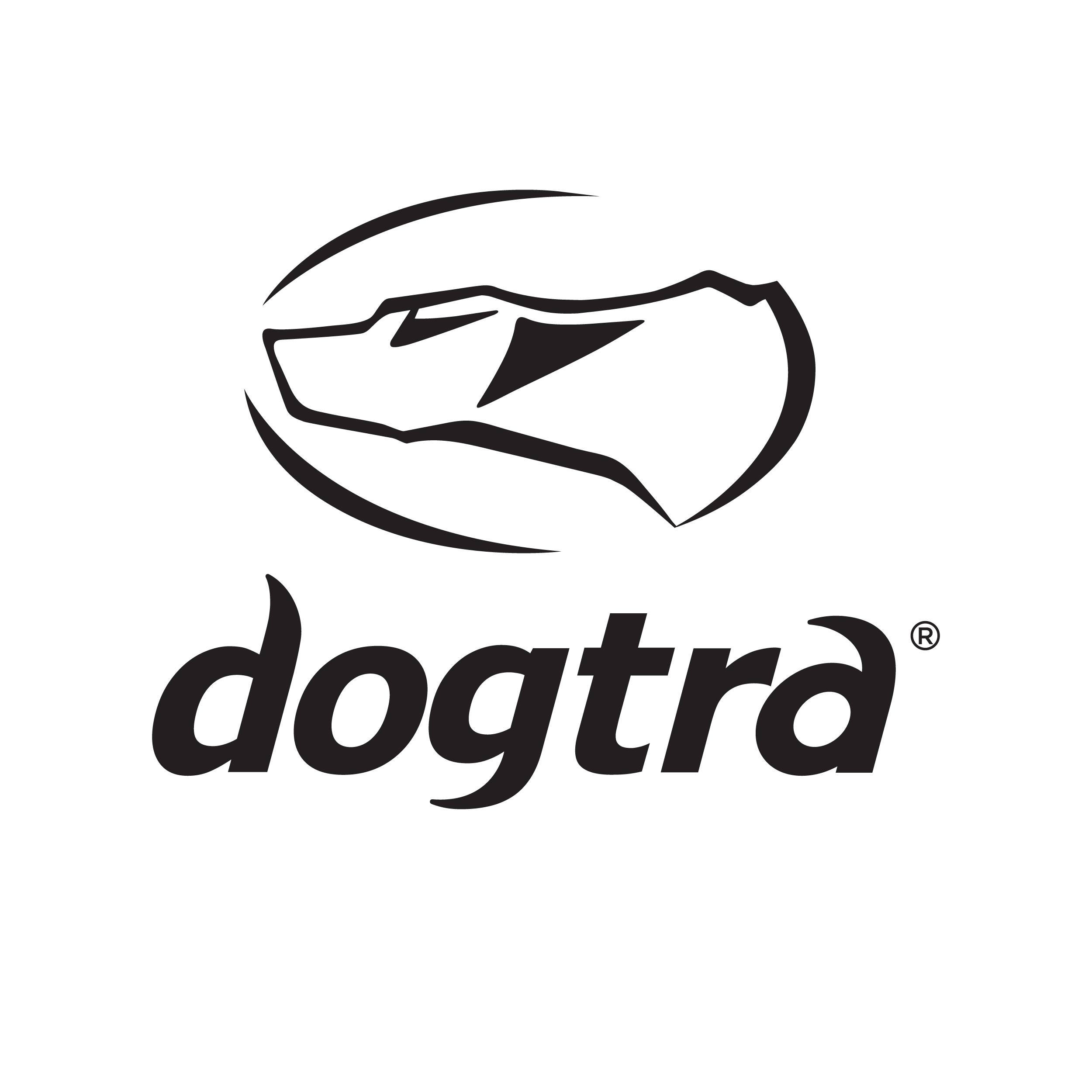 Dogtra