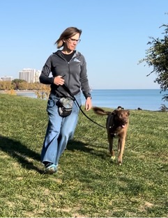 Dog behavior training programs in Chicago