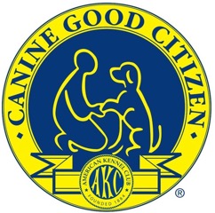 CGC Badge