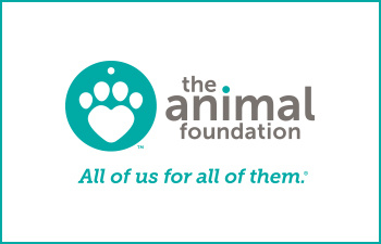 The Animal Foundation