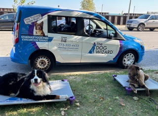 More about The Dog Wizard Montrose Beach (Chicago)